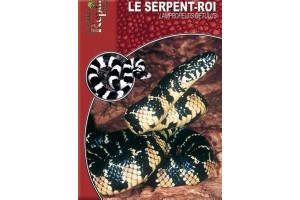 Le Serpent-Roi - Lampropeltis getulus Guide Reptilmag